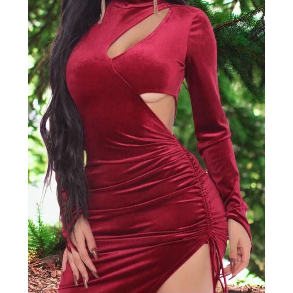 Dress Women‎ Burgundy Velvet Midi Size L Dress Burgundy Velvet NWT  (Reg: $55)